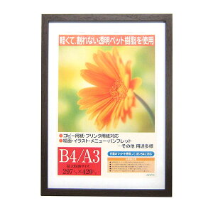 C^ ai FRAME OAz K[x _[NuE A3 GM-154DBR-A3 A3TCY yʐ^ tHgt[ vgt[ ʐ^z zz #300# #301#yCHIz