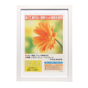 C^ ai FRAME OAz K[x zCg A4 GM-154W-A4 A4TCY yʐ^ tHgt[ vgt[ ʐ^z zz #300# #301#yCHIz