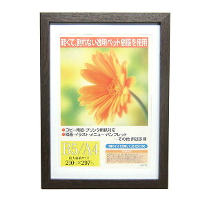 C^ ai FRAME OAz K[x _[NuE A4 GM-154DBR-A4 A4TCY yʐ^ tHgt[ vgt[ ʐ^z zz #300# #301#yCHIz