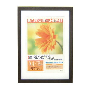 C^ ai FRAME OAz K[x _[NuE B4 GM-154DBR-B4 B4TCY yʐ^ tHgt[ vgt[ ʐ^z zz #300# #301#yCHIz