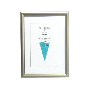 yő1000~OFFN[|zzzC^ ai FRAME ܏z A~ AS-20 SP B5 AS-20-B5-SP y܏ z t[ \ ӏ Ə؏ ؏z #300#yCHIz