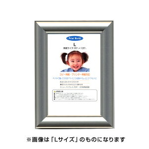 yő1000~OFFN[|zzzC^ ai FRAME ʐ^ A~ vplA Cgt[ uY PA-212-H yʐ^ tHgt[ ʐ^ CeA  IVz #300# #301#yCHIz