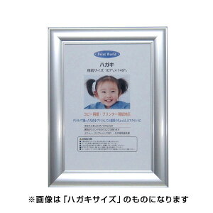 yő1000~OFFN[|zzzC^ ai FRAME ʐ^ A~ vplS(Vo[) L PA-212-SI-L yʐ^ tHgt[ ʐ^ CeA  IVz #300# #301#yCHIz