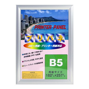 C^ ai FRAME OAz A~ vplS Vo[ PA-212-SI-B5 B5TCY yʐ^ tHgt[ A~t[ vgt[ ʐ^z zz #300# #301#yCHIz