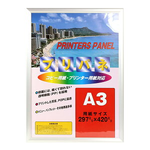 C^ ai FRAME OAz A~ vplS Vo[ PA-212-SI-A3 A3TCY yʐ^ tHgt[ A~t[ vgt[ ʐ^z zz #300# #301#yCHIz
