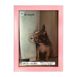 yő1000~OFFN[|zzzC^ ai FRAME OAt[^B5^sN JOA-B5-P yʐ^ tHgt[ vgt[ ʐ^z zz #300# #301#yCHIz