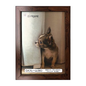 C^ ai FRAME OAt[^B5^uE JOA-B5-BR yʐ^ tHgt[ vgt[ ʐ^z zz #300# #301#yCHIz