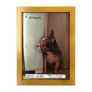 C^ ai FRAME OAt[^B5^i` JOA-B5-NA yʐ^ tHgt[ vgt[ ʐ^z zz #300# #301#yCHIz