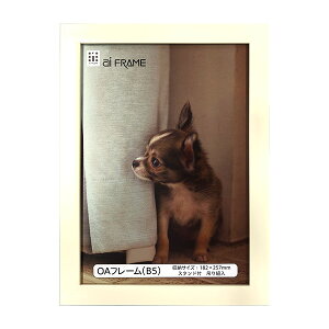 C^ ai FRAME OAt[^B5^zCg JOA-B5-W yʐ^ tHgt[ vgt[ ʐ^z zz #300# #301#yCHIz