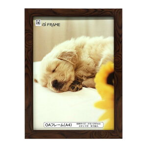 C^ ai FRAME OAt[^A4^uE JOA-A4-BR yʐ^ tHgt[ vgt[ ʐ^z zz #300# #301#yCHIz