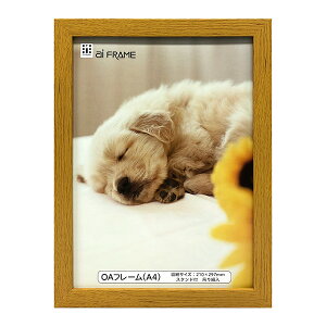 C^ ai FRAME OAt[^A4^i` JOA-A4-NA yʐ^ tHgt[ vgt[ ʐ^z zz #300# #301#yCHIz