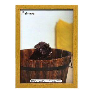 C^ ai FRAME OAt[^B4^i` JOA-B4-NA yʐ^ tHgt[ vgt[ ʐ^z zz #300# #301#yCHIz