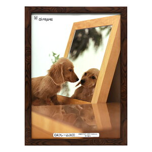 C^ ai FRAME OAt[^A3^uE JOA-A3-BR yʐ^ tHgt[ vgt[ ʐ^z zz #300# #301#yCHIz