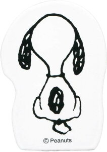 ǂ̂ Xk[s[RNV p H2247-005yCHIz