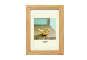 yő1000~OFFN[|zzzLADONNA hi AVANTI X^CbVt[ DF43-2L-NT i` yMtg tHgt[ ʐ^ j LO  ܎O LO ʐ^  IVz