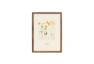 yő1000~OFFN[|zzzLADONNA hi AVANTI X^CbVt[ DF53-2L-BR uE yMtg tHgt[ ʐ^ j LO  ܎O LO ʐ^  IVzy