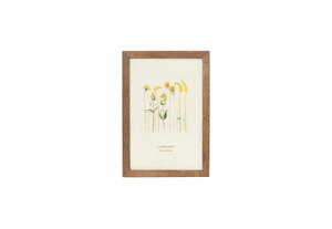 LADONNA hi AVANTI X^CbVt[ DF53-P-BR uE yMtg tHgt[ ʐ^ j LO  ܎O LO ʐ^  IVzy[J[z #300# #301#