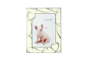 yő1000~OFFN[|zzzLADONNA hi LIVING rOt[ NP08-2L-WH zCg yMtg tHgt[ ʐ^ j LO  ܎O LO ʐ^  IVzy[J