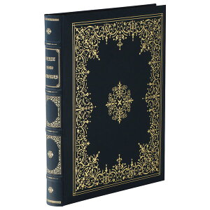 yM̓{zAo iJoV Ao }WFXeB AH-MB-20-D  y\t t[䎆  tHgAo  ʐ^ \ t[䎆 ubN^Cvz #102#yCHI