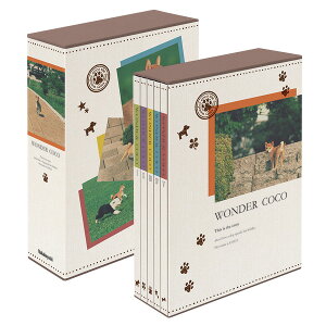 Ao e iJoV 5BOX|PbgAo L480 _[RR 5PL-480-2/M ytHgAo  ʐ^  EFfBO xr[ Ԃz #103#yCHIz