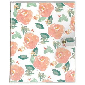 Ao iJoV Jo[|PbgAo(KG40[) AJ-PVKG-401-3 bht[yKG ͂ |XgJ[h |XJ N ʐ^ tHgAo  y q xr[ Ԃ 