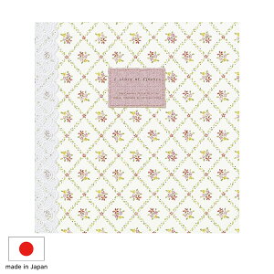 yM̓{zAo iJoV tGAoDigio fB[Y Iu t[Y W LPF-1004-2 tHgAo ʐ^ y\t  S tHgAo 킢 Wʐ^ LO