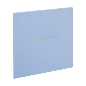 Ao  iJoV ʐ^䎆 XNGAL2 VML-101-B u[   oY  ܎O LOyCHIz