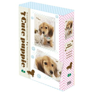 Ao iJoV 3{bNX |PbgAo 3PL-183A/M L[gps[ xr[ ʐ^ tHgAo  #103#yCHIz