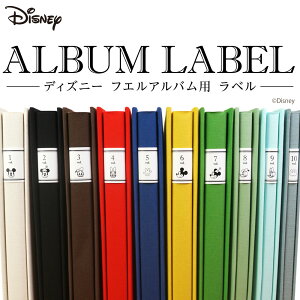 【最大1000円OFFクーポン配布中】【信頼の日本製】ナカバヤシ ディズニーキャラクター フエルアルバム用 ラベル IT-FALA-D-01【Disneyzone】【CHI】