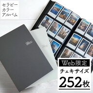 【最大1000円OFFクーポン配布中】【252枚収納】チェキ アルバム ナカバヤシ 大容量 9面ポケット セラピー…