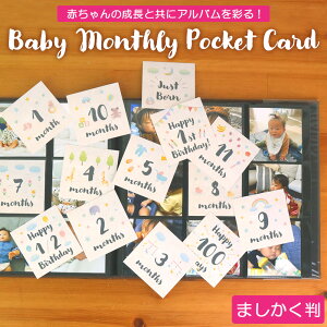 yWEBizAo xr[ }X[ |PbgJ[h }X[J[h J[h ܂ 14 IT-DPCM-SQ-05y܂ XNGA |PbgAo  fR[V fUC