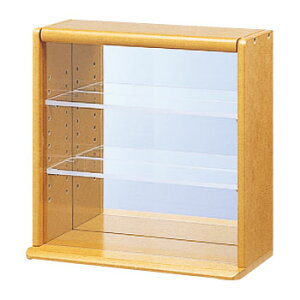 iJoV RNVP[X ~j ANI^Cv CCM-N001SyCHIz