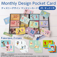 【最大1000円OFFクーポン配布中】【WEB限定品】アルバム ディズニー マンスリー デザインポケットカード …