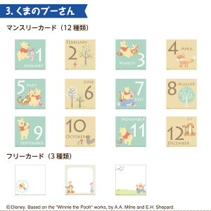 yWEBizAo fBYj[ }X[ fUC|PbgJ[h IT-DPCM-D ~bL[tY ܂̃v[ gCEXg[[ yDisneyzonez ytHgAo fR[V 