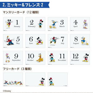 yő1000~OFFN[|zzzyWEBizAo fBYj[ }X[ fUC|PbgJ[h IT-DPCM-D ~bL[tY ܂̃v[ gCEXg[[ yDisneyzonez y