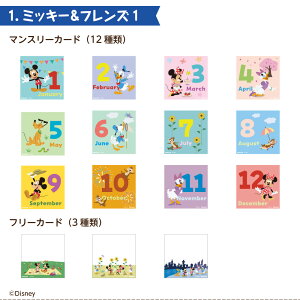 yWEBizAo fBYj[ }X[ fUC|PbgJ[h IT-DPCM-D ~bL[tY ܂̃v[ gCEXg[[ yDisneyzonez ytHgAo fR[V 