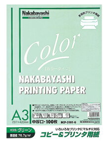 iJoV Rs[&v^p J[^Cv A3 100 HCP-3101-G O[yCHIz