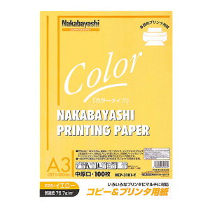 iJoV Rs[&v^p J[^Cv A3 100 HCP-3101-Y CG[yCHIz