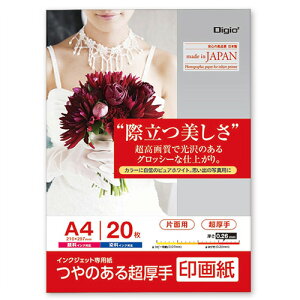 iJoV CNWFbgp Digio2 ̂钴 掆 A4 20 JPSK2-A4-20yCHIz