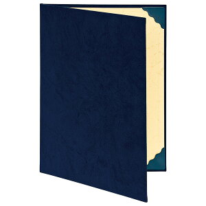 yő1000~OFFN[|zzziJoV ؏t@C ܏t@C zNXiXG[h) \^Cv A4 FSS-A4-B yCHIz