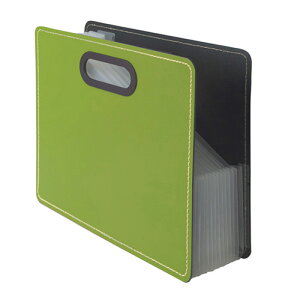 iJoV IROKATU hLgt@CEAPP A4 R^ DF-A401E-OG I[uO[y Lk  ރP[X [  ^ Wo hLgX^h AR[fBIzy