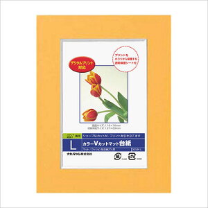 tHgt[ iJoV DigioJ[ VJbg}bg䎆 y[p[ tHgt[ LTCY IW DGVM-L-O ܎O LO ʐ^ #300#yCHIz