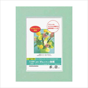 tHgt[ iJoV DigioJ[ VJbg}bg䎆 y[p[ tHgt[ nKLTCY A6 O[ DGVM-A6-G ܎O LO ʐ^ |XgJ[h #300#yCHIz