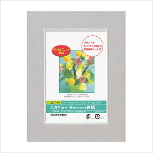 yő1000~OFFN[|zzztHgt[ iJoV DigioJ[ VJbg}bg䎆 y[p[ tHgt[ nKLTCY A6 O[ DGVM-A6-N ܎O LO ʐ^ |XgJ[h #300#yCHIz