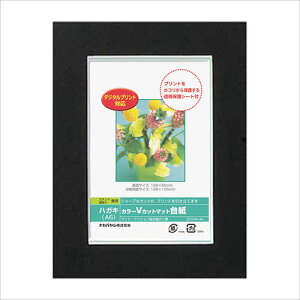 tHgt[ iJoV DigioJ[ VJbg}bg䎆 y[p[ tHgt[ nKLTCY A6 ubN DGVM-A6-D ܎O LO ʐ^ |XgJ[h #300#yCHIz