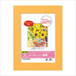 tHgt[ iJoV DigioJ[ VJbg}bg䎆 2LTCY IW DGVM-2L-O yy[p[t[ ܎O LO Wʐ^ LOʐ^z #300#yCHIz