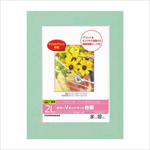 tHgt[ iJoV DigioJ[ VJbg}bg䎆 2LTCY O[ DGVM-2L-G yy[p[t[ ܎O LO Wʐ^ LOʐ^z #300#yCHIz