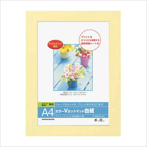 tHgt[ iJoV DigioJ[ VJbg}bg䎆 y[p[ tHgt[ A4TCY CG[ DGVM-A4-Y ܎O LO ʐ^ #300#yCHIz