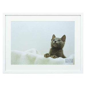 iJoV ؐ ʐ^z ChlcؔizCgjF-SW-116-W yʐ^ tHgt[ z Ǌ|z #300# #301#yCHIz