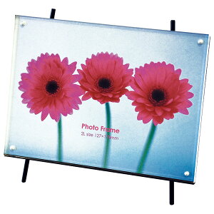 yő1000~OFFN[|zzziJoV X^htHgt[ tHgX^h ʐ^ 2L 1i t-ACT-101-2L yWʐ^ LOʐ^ ʐ^ tHgt[  IVz #300# #301#yC